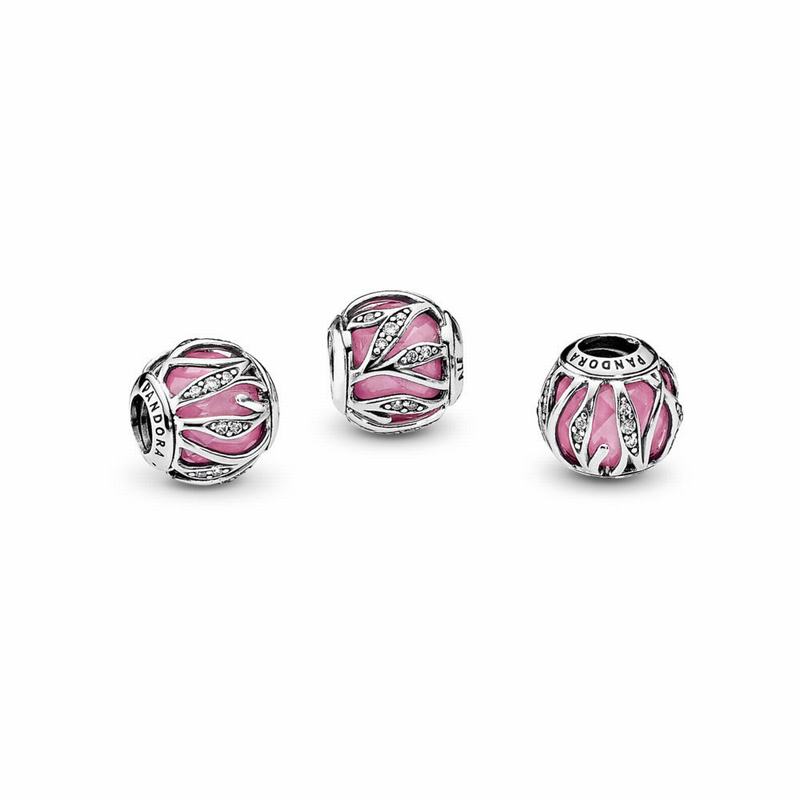 Pandora Australia Nature's Radiance Charm - Sterling Silver | BORDHK816